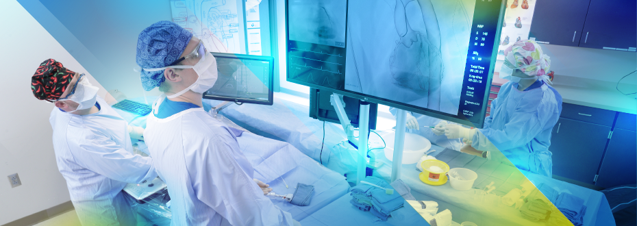 Cardiovascular Technologist looking at screen in exam room